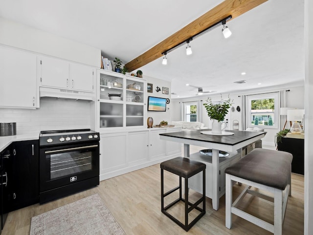 3439 Fair Oaks Pl, Sarasota, FL 34239 - kitchen with black / electric stove, under cabinet range hood, light wood-style flooring, white cabinetry, and light countertops