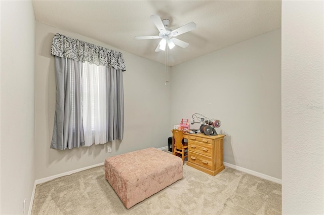 3316 61st Ter E, Ellenton, FL 34222 - photo 43