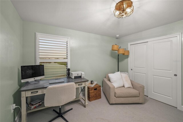 16219 Pine Mist Dr, Bradenton, FL 34211 - photo 19