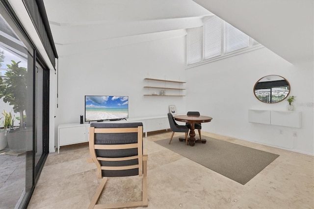 4116 61st Avenue Terrace W, Bradenton, FL 34210 - living room featuring a towering ceiling