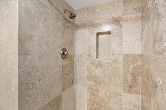 4116 61st Avenue Terrace W, Bradenton, FL 34210 - bathroom view of a tile shower