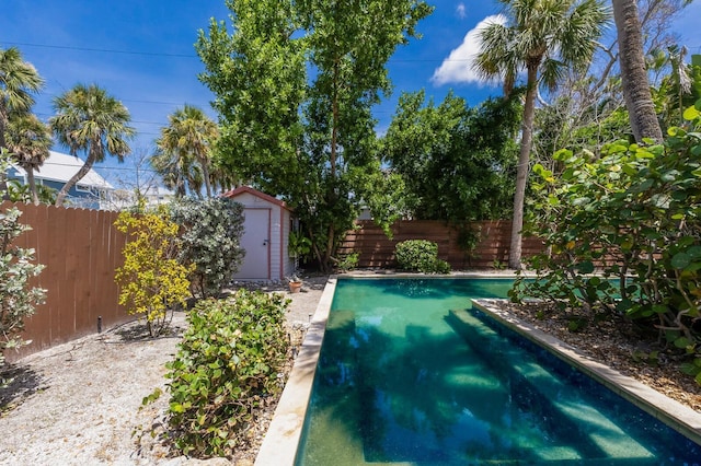212 71st St, Holmes Beach, FL 34217 - view of swimming pool featuring a storage shed and a fenced backyard