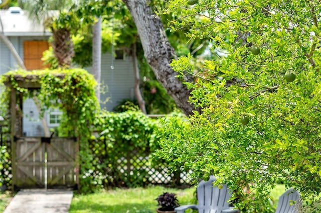 2523 11th Ave W, Bradenton, FL 34205 - photo 29