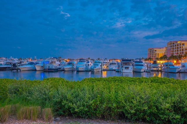 130 Riviera Dunes Way Unit 601, Palmetto, FL 34221 - water view featuring a marina