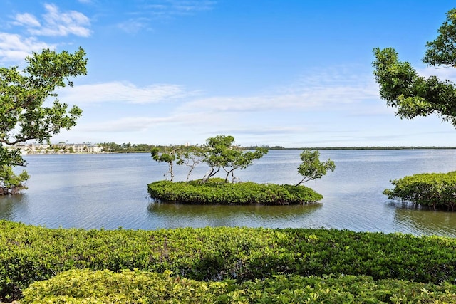 3576 Fair Oaks Way, Longboat Key, FL 34228 - photo 34