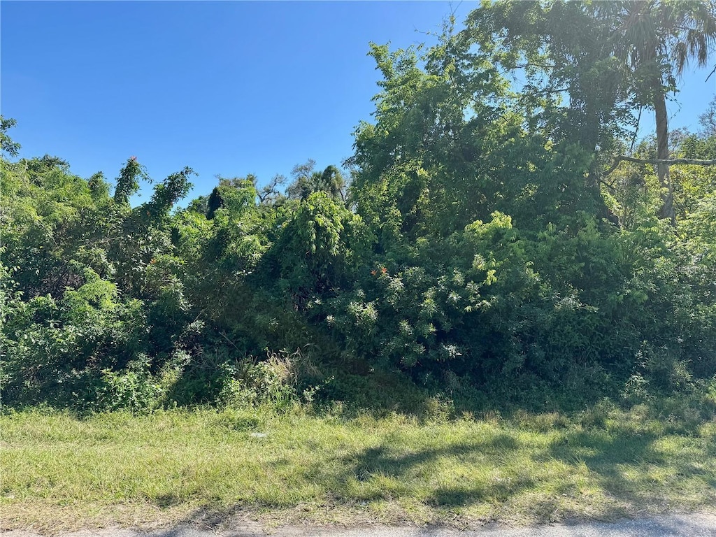 16443 Bauers Ave, Port Charlotte, FL 33954 - photo 1