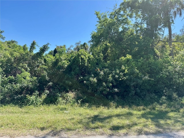 16443 Bauers Ave, Port Charlotte, FL 33954 - photo 1