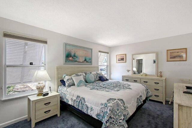 1036 W Peppertree Ln Unit 113B, Sarasota, FL 34242 - bedroom with dark colored carpet and a textured ceiling