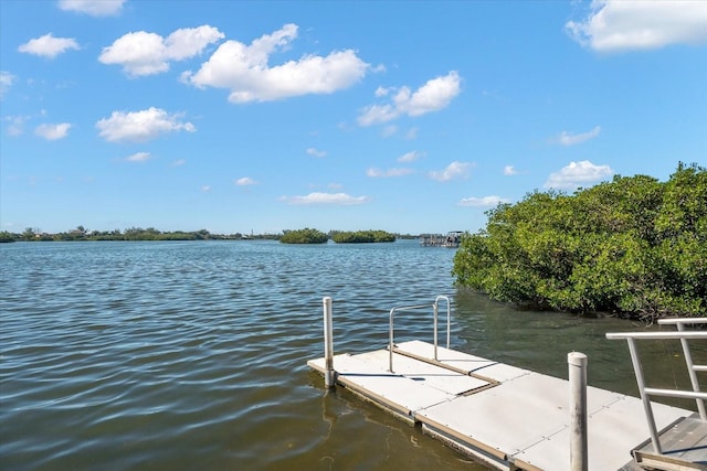 14041 Bellagio Way Unit 414, Osprey, FL 34229 - dock area with a water view