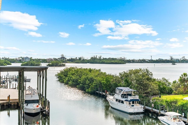 14041 Bellagio Way Unit 414, Osprey, FL 34229 - dock with a water view