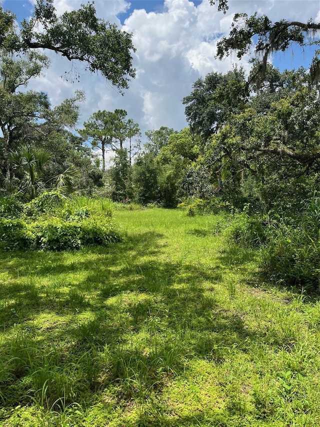 5015 Bonita Dr, Wimauma, FL 33598 - photo 5