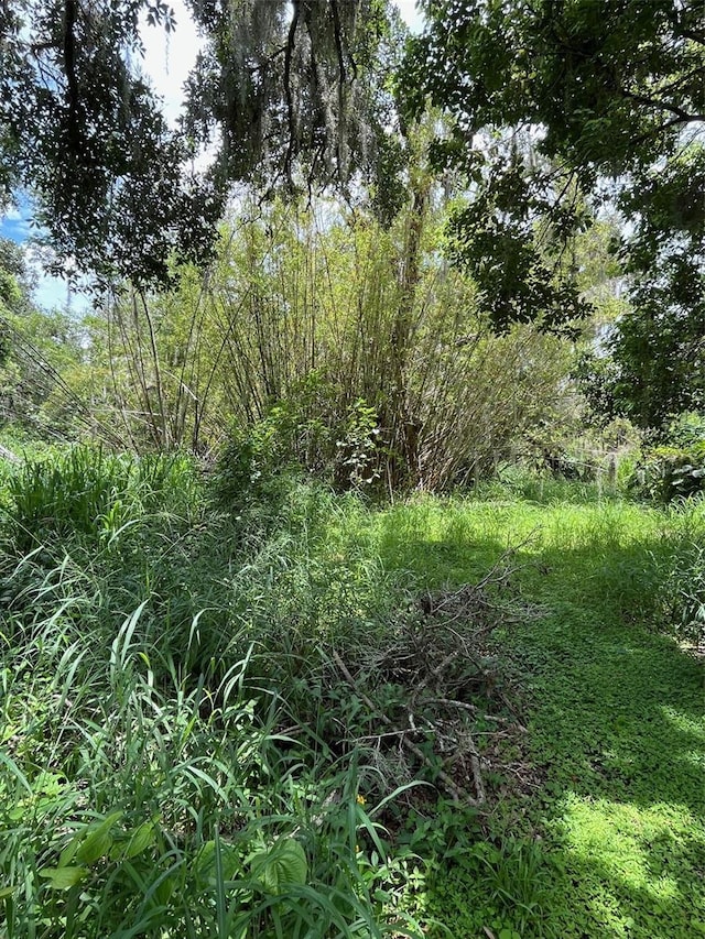 5015 Bonita Dr, Wimauma, FL 33598 - photo 6