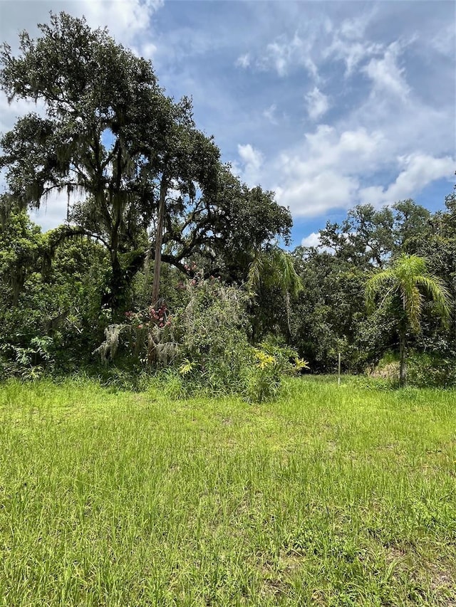 5015 Bonita Dr, Wimauma, FL 33598 - photo 9