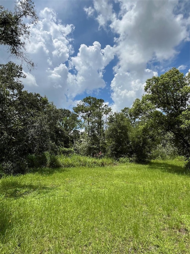 5015 Bonita Dr, Wimauma, FL 33598 - photo 11