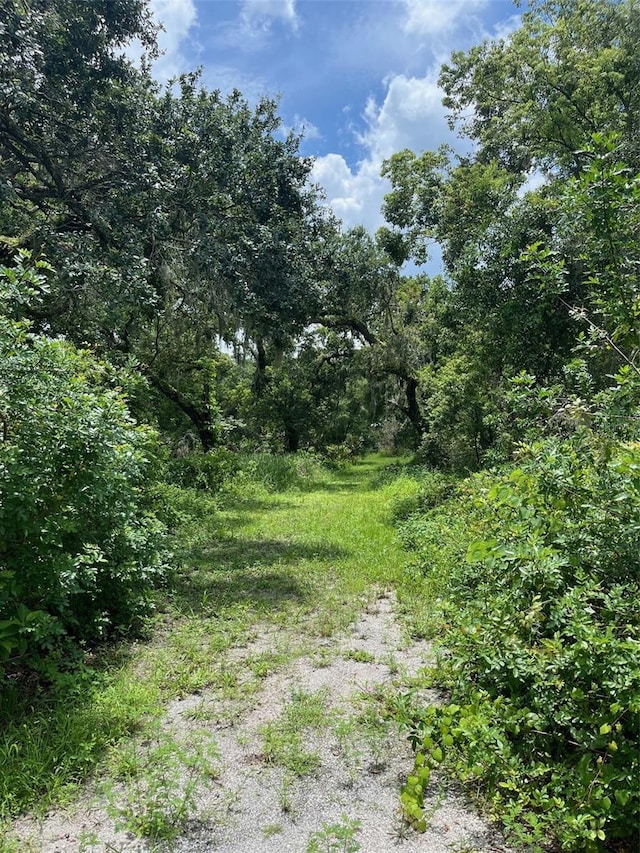 5015 Bonita Dr, Wimauma, FL 33598 - photo 12