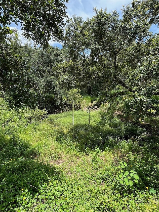 5015 Bonita Dr, Wimauma, FL 33598 - photo 13
