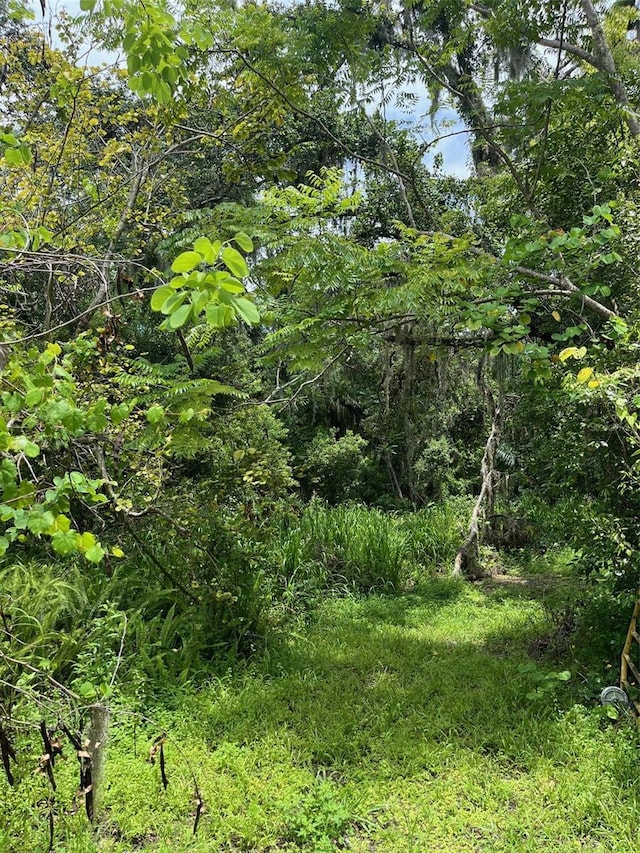 5015 Bonita Dr, Wimauma, FL 33598 - photo 14