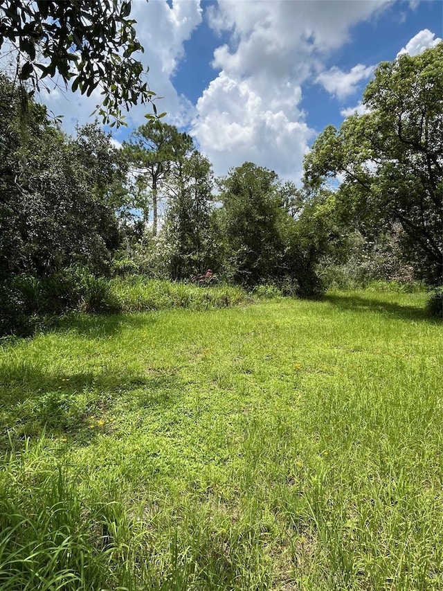 5015 Bonita Dr, Wimauma, FL 33598 - photo 18