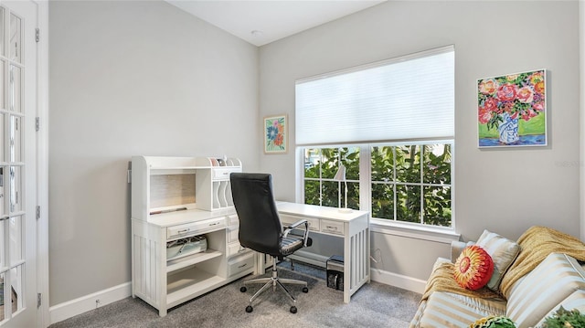 3431 Chestertown Loop, Bradenton, FL 34211 - home office featuring light colored carpet