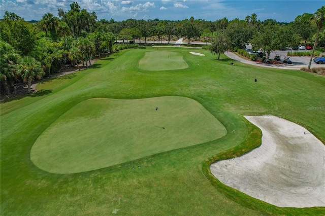 7121 River Hammock Dr Unit 102, Bradenton, FL 34212 - view of property's community with view of golf course, view of wooded area, and a putting green