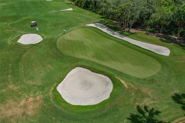 7121 River Hammock Dr Unit 102, Bradenton, FL 34212 - surrounding community with golf course view