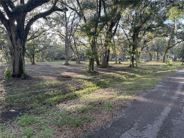 4110 Mossy Oak Dr, Lakeland, FL 33810 - photo 2