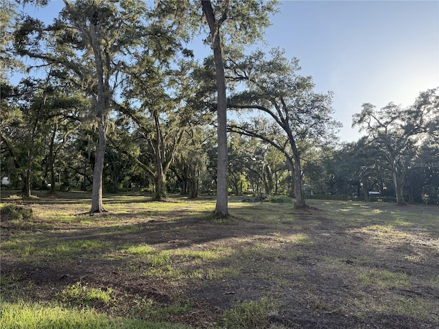 4110 Mossy Oak Dr, Lakeland, FL 33810 - photo 3