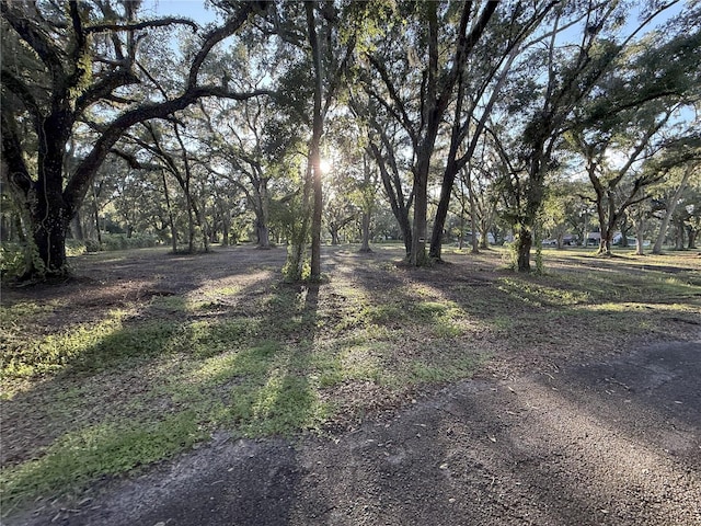 4110 Mossy Oak Dr, Lakeland, FL 33810 - photo 5