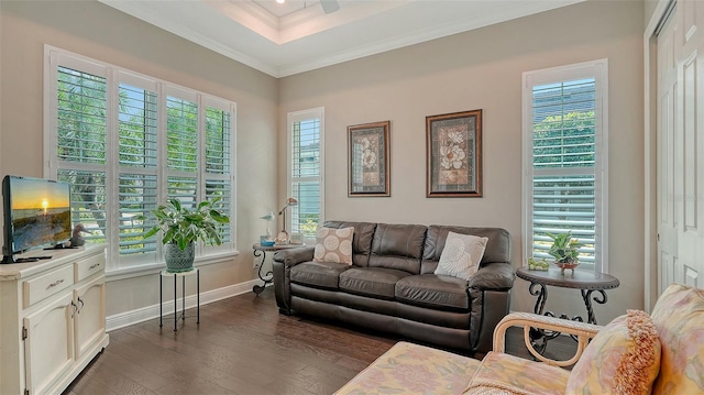 1114 Bearing Ct, Bradenton, FL 34208 - living area with dark wood-type flooring, plenty of natural light, and crown molding