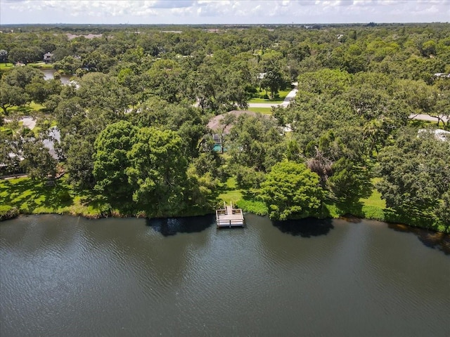 9211 66th Avenue Dr E, Bradenton, FL 34202 - photo 47