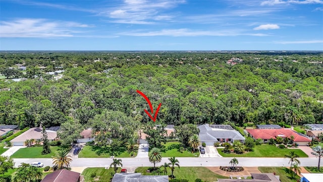 8003 Conservatory Dr, Sarasota, FL 34243 - photo 47