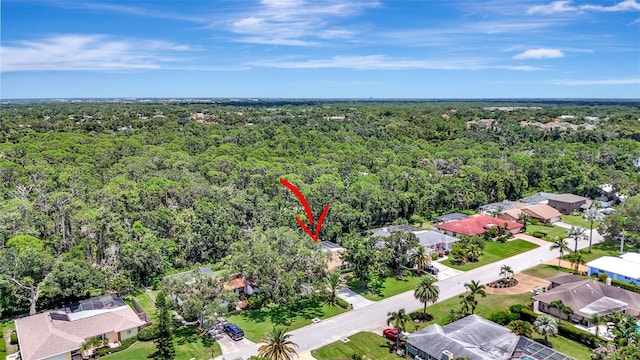 8003 Conservatory Dr, Sarasota, FL 34243 - photo 48
