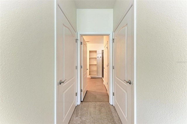 13829 Camden Crest Ter, Bradenton, FL 34211 - hall with light colored carpet and a textured wall