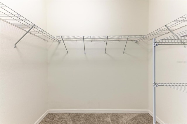 13829 Camden Crest Ter, Bradenton, FL 34211 - spacious closet with carpet