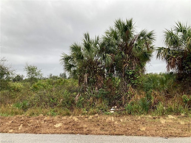13403 High Springs Ave, Port Charlotte, FL 33981