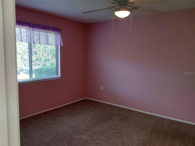 2706 60th Avenue Dr W, Bradenton, FL 34207 - photo 24