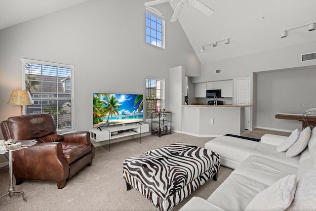 5531 Rosehill Rd Unit 203, Sarasota, FL 34233 - photo 3