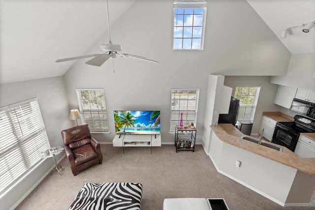 5531 Rosehill Rd Unit 203, Sarasota, FL 34233 - photo 5