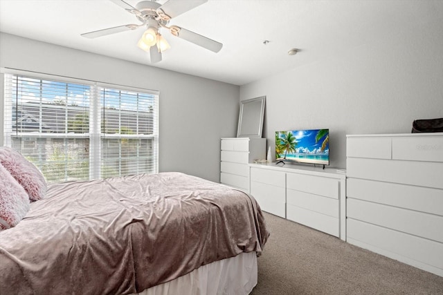 5531 Rosehill Rd Unit 203, Sarasota, FL 34233 - photo 19