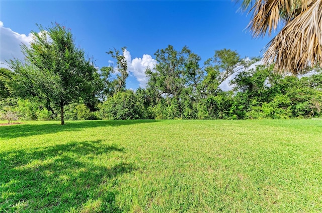 5749 Liatris Cir, Sarasota, FL 34238 - photo 46