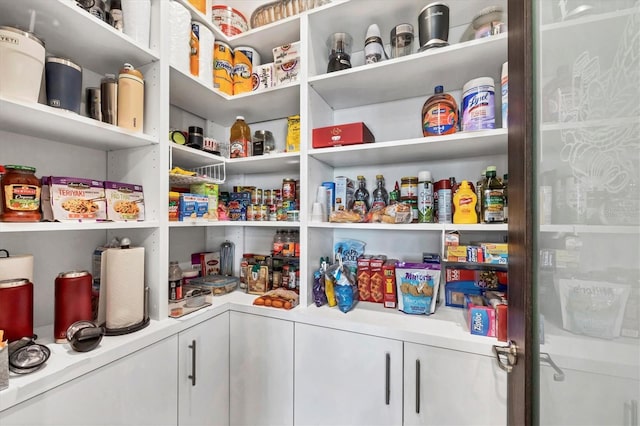 10347 Coastal Shores Dr, Parrish, FL 34219 - view of pantry