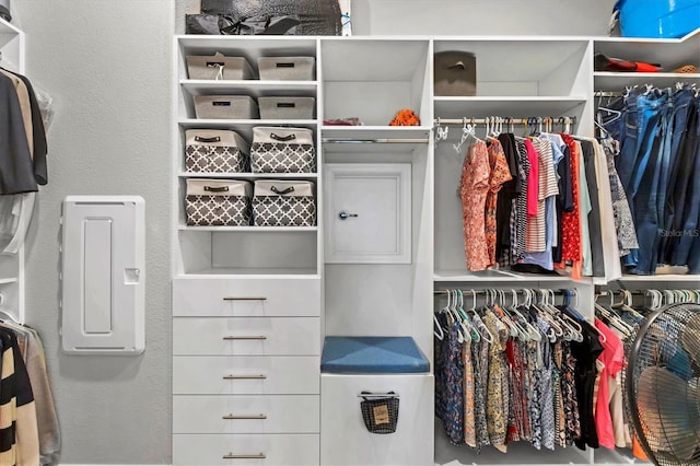 10347 Coastal Shores Dr, Parrish, FL 34219 - view of spacious closet