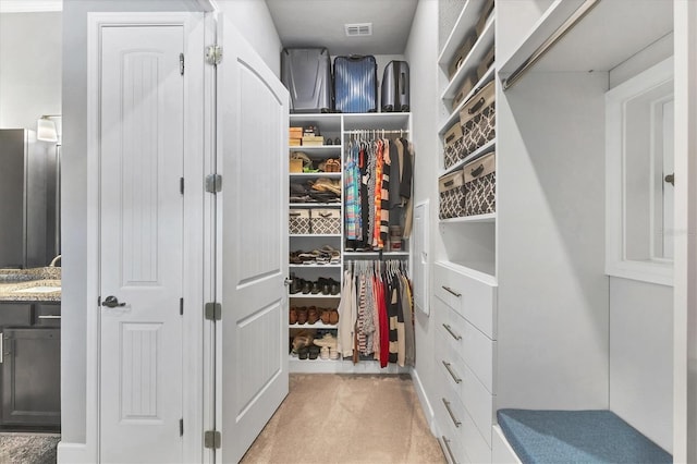 10347 Coastal Shores Dr, Parrish, FL 34219 - spacious closet featuring light colored carpet and a sink
