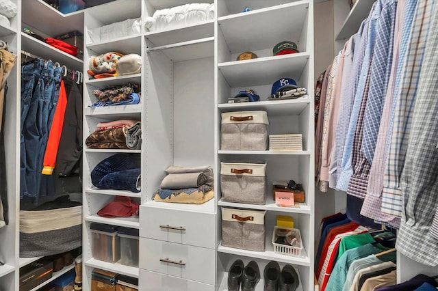 10347 Coastal Shores Dr, Parrish, FL 34219 - view of walk in closet