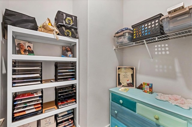 10347 Coastal Shores Dr, Parrish, FL 34219 - view of walk in closet