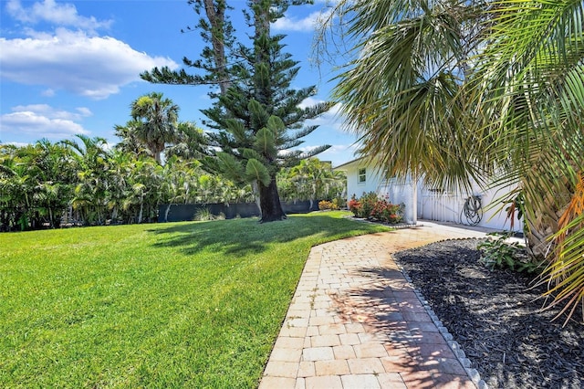 6962 Belgrave Dr, Sarasota, FL 34242 - view of yard