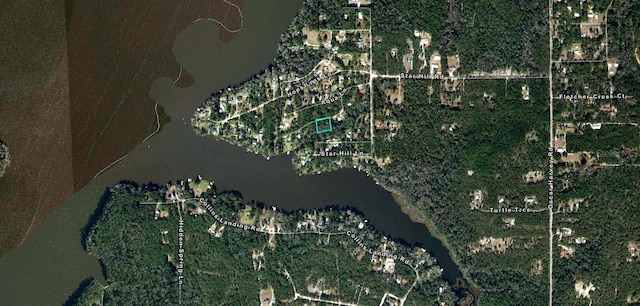 16501 Talquin Cove Rd, Tallahassee, FL 32310 - photo 3