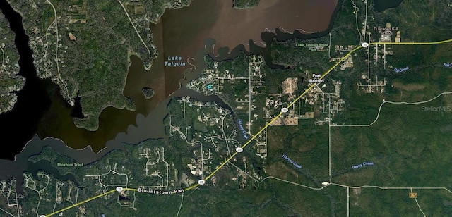 16501 Talquin Cove Rd, Tallahassee, FL 32310 - photo 4