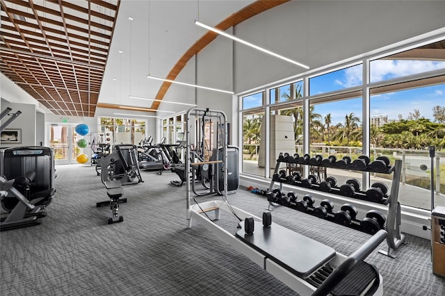2251 Gulf Of Mexico Dr Unit 301, Longboat Key, FL 34228 - workout area featuring carpet and a high ceiling