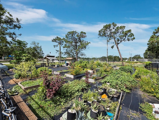 3223 Jamaica St, Sarasota, FL 34231 - view of yard with a garden